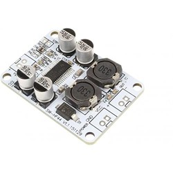 TPA3110 Mono Channel Digital Amplifier Board 30W