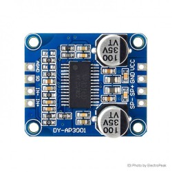 DY-AP3001 30W Digital Amplifier Module