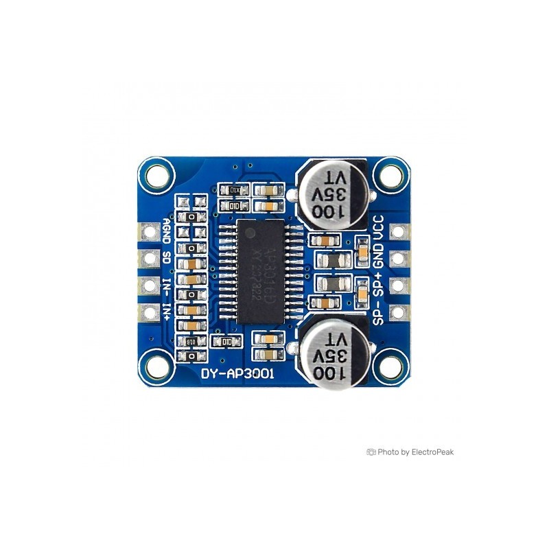 DY-AP3001 30W Digital Amplifier Module