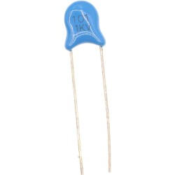 100 pF 1KV Ceramic Capacitor