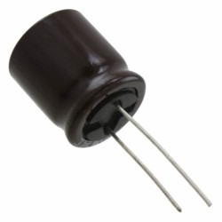 3900 uF 50 V Electrolytic Capacitor