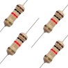 0.5 W 10 Ω Resistor