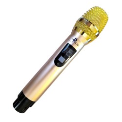 PuLisi Dual-Channel UHF Wireless Microphone