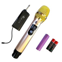 PuLisi Dual-Channel UHF Wireless Microphone