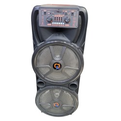 Dual 15" Portable Bluetooth Speaker