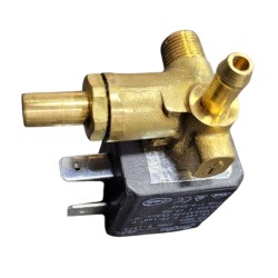 220V Steam Valve