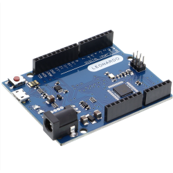 Development Board...