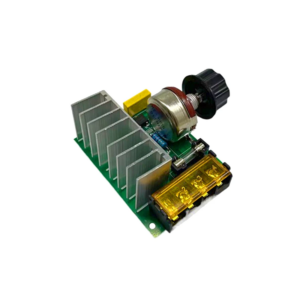 4000W Dimmer Module